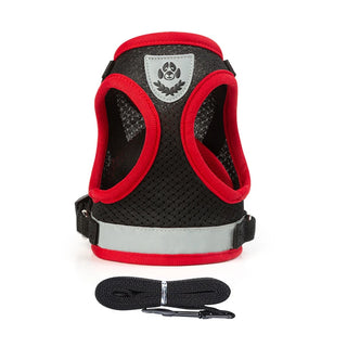  Puppy Harness and Leash Set for Small Dogs cashymart