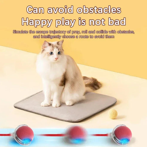  Rechargeable Cat & Dog Rolling Toy cashymart