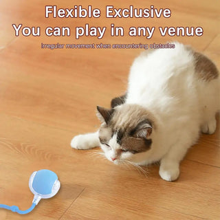  Rechargeable Smart Cat Toy Ball cashymart
