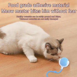  Rechargeable Smart Cat Toy Ball cashymart