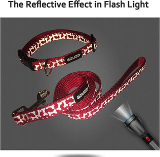  Red Dog Collar & Leash Set cashymart