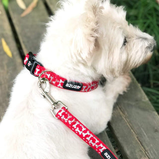  Red Dog Collar & Leash Set cashymart