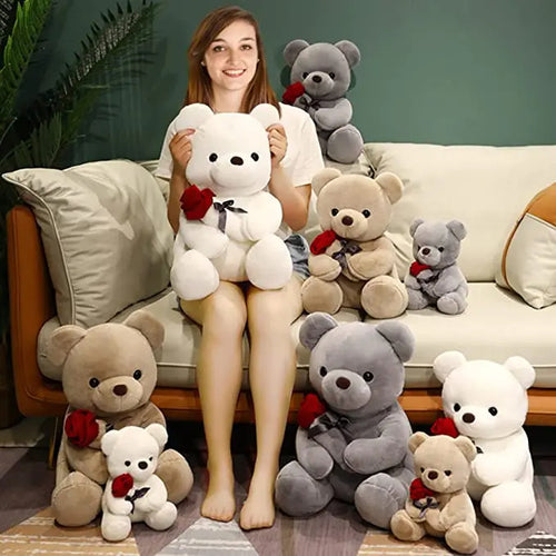  Roses Teddy Bear cashymart