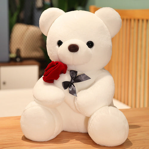  Roses Teddy Bear cashymart