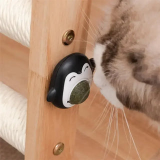 Rotatable Catnip Mint Balls cashymart