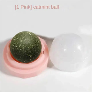  Rotatable Catnip Mint Balls cashymart
