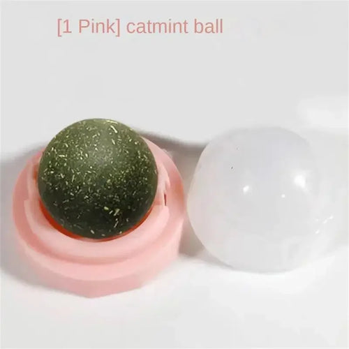 Rotatable Catnip Mint Balls cashymart