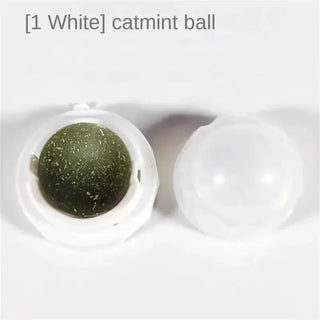  Rotatable Catnip Mint Balls cashymart