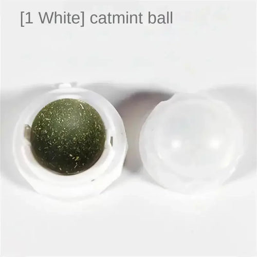  Rotatable Catnip Mint Balls cashymart