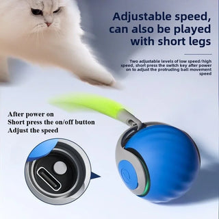  Interactive Electric Cat Toy cashymart