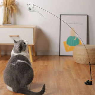  Interactive Peacock Cat Toy with Bell cashymart