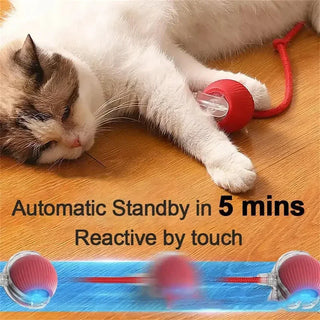  Interactive Rechargeable Cat Toy Ball with Rolling Tail and Sound cashymart