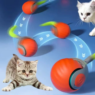  Interactive Smart Jumping Ball for Cats and Dogs - Fun & Engaging! cashymart