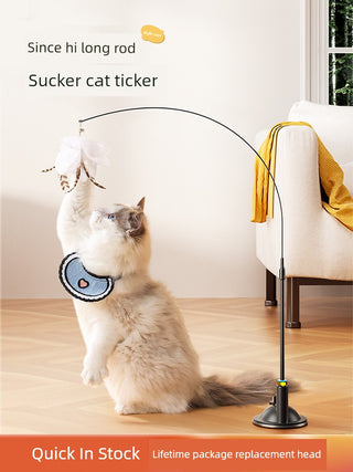 Suction Cup Cat Toy: Long Brush Holder