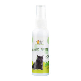  50ml Natural Catnip Spray cashymart