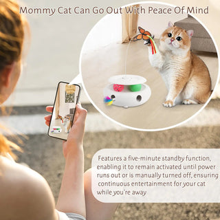  Rechargeable 3-in-1 Interactive Cat Toy cashymart