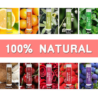  Natural Lip Balm Variety Pack cashymart