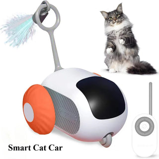  Smart Remote-Controlled Cat Car Toy - USB Rechargeable Fun! cashymart