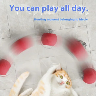  Smart Rolling Cat Ball - Interactive USB Rechargeable Toy for Felines cashymart