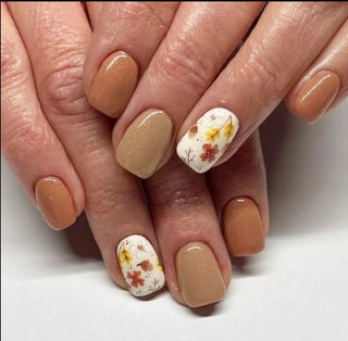  24 Pcs Autumn-Inspired Press-On Nails cashymart