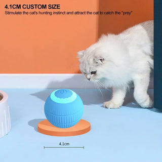  Interactive Smart Cat Ball cashymart