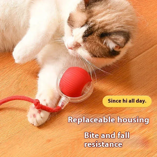  Interactive Automatic Cat Ball Toy - USB Rechargeable Fun! cashymart