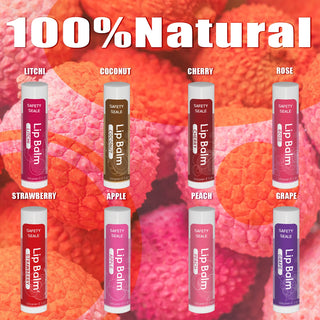  Natural Lip Balm Variety Pack cashymart