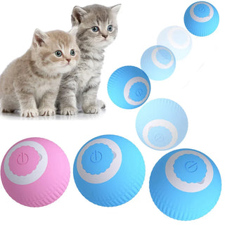  Interactive Smart Cat Ball cashymart