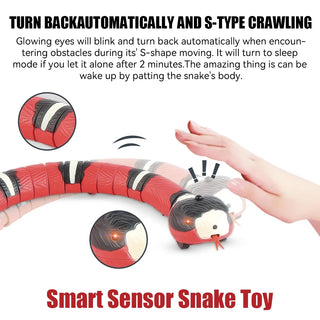  Interactive Rechargeable Smart Snake Toy cashymart