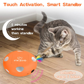  Interactive Whack-A-Mole Cat Toy cashymart