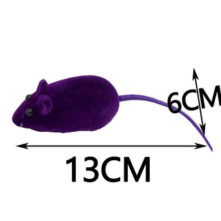  Interactive Cat Mouse Toy cashymart