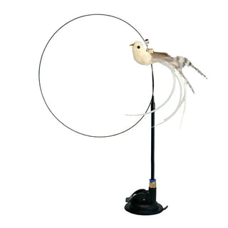  Interactive Peacock Cat Toy with Bell cashymart