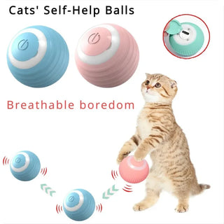  Smart 360° Rotating Cat & Dog Toy Ball cashymart