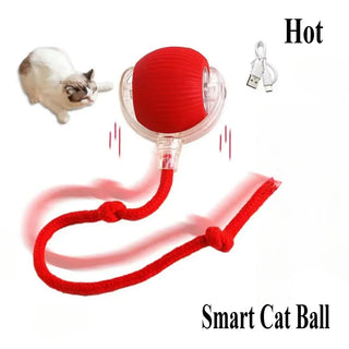  Rechargeable Cat & Dog Rolling Toy cashymart