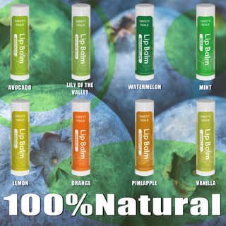  Natural Lip Balm Variety Pack cashymart