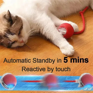  Rechargeable Cat & Dog Rolling Toy cashymart