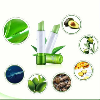  Aloe Vera Lip Balm cashymart