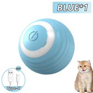  Interactive USB Rechargeable Cat Ball Toy cashymart