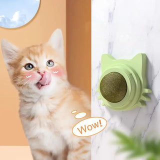  Catnip Lollipop Ball Toy for Cats - Fun & Interactive Playtime! cashymart