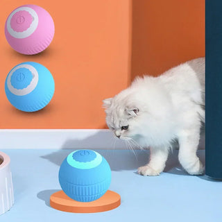  Interactive Smart Cat Ball cashymart