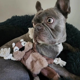  Squeaky Squirrel Dog Toy for Aggressive Chewers cashymart