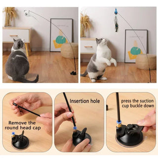  Interactive Peacock Cat Toy with Bell cashymart