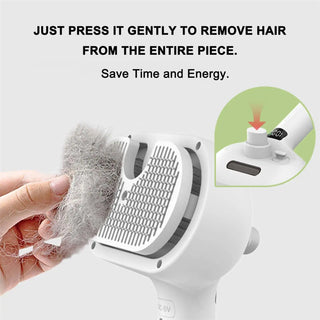 Steamy Pet Brush