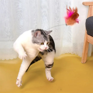  Adjustable Interactive Cat Teaser Toy cashymart