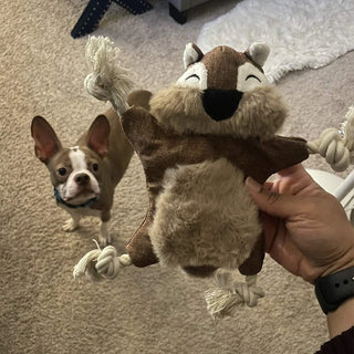  Squeaky Squirrel Dog Toy for Aggressive Chewers cashymart
