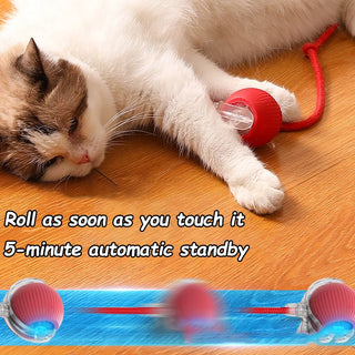  Interactive Rechargeable Cat Ball Toy cashymart