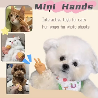  Mini Silicone Cat Massage Gloves cashymart