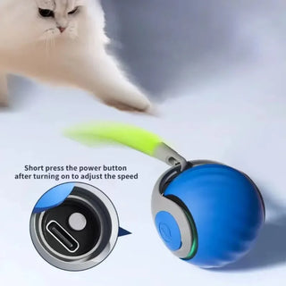  Interactive USB Rechargeable Cat Ball Toy cashymart