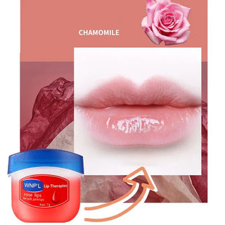  Lip Balm Sets cashymart