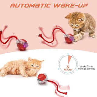  Interactive Rechargeable Cat Ball Toy cashymart